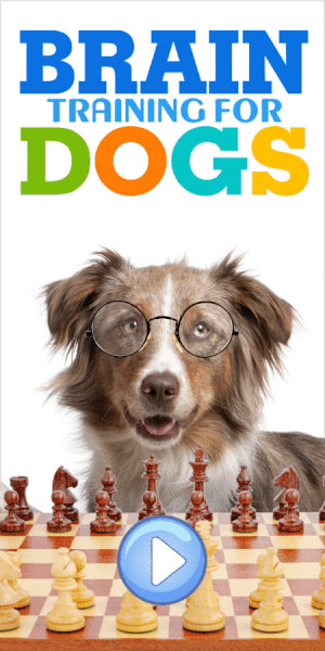 Chess Dog 300 x 600